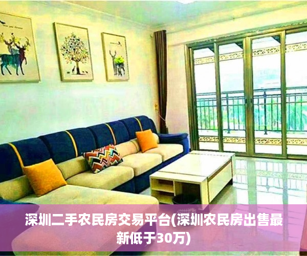 深圳二手农民房交易平台(深圳农民房出售最新低于30万)