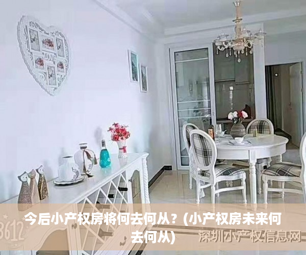 今后小产权房将何去何从？(小产权房未来何去何从)