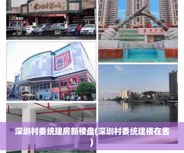 深圳村委统建房新楼盘(深圳村委统建楼在售)