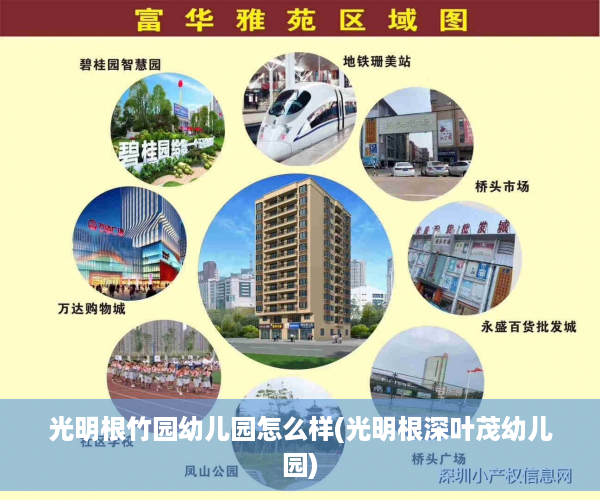 光明根竹园幼儿园怎么样(光明根深叶茂幼儿园)