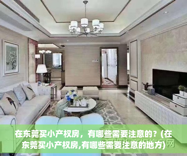 在东莞买小产权房，有哪些需要注意的？(在东莞买小产权房,有哪些需要注意的地方)