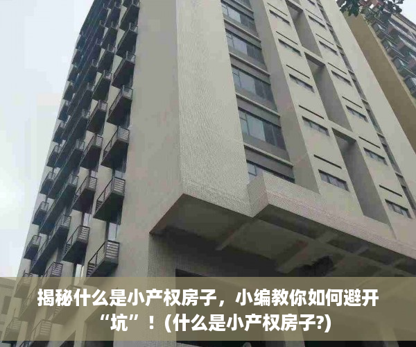 揭秘什么是小产权房子，小编教你如何避开“坑”！(什么是小产权房子?)