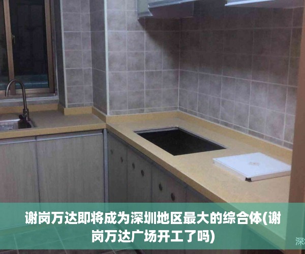 谢岗万达即将成为深圳地区最大的综合体(谢岗万达广场开工了吗)