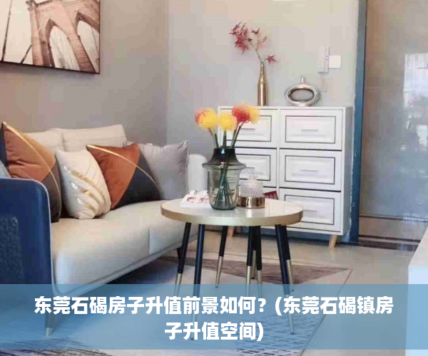 东莞石碣房子升值前景如何？(东莞石碣镇房子升值空间)