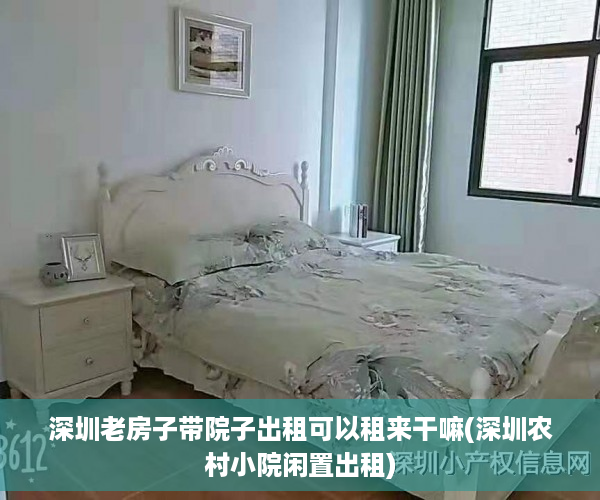 深圳老房子带院子出租可以租来干嘛(深圳农村小院闲置出租)
