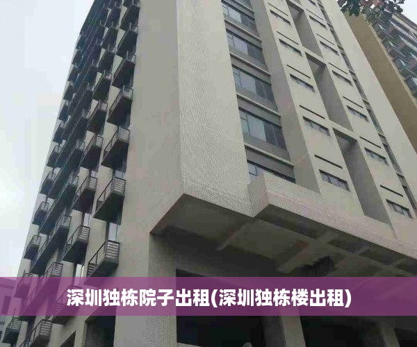 深圳独栋院子出租(深圳独栋楼出租)