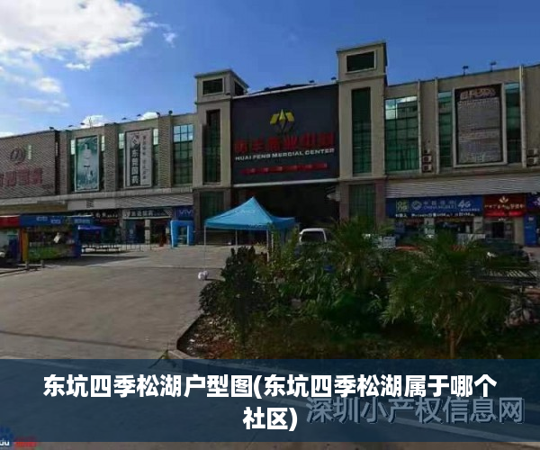 东坑四季松湖户型图(东坑四季松湖属于哪个社区)