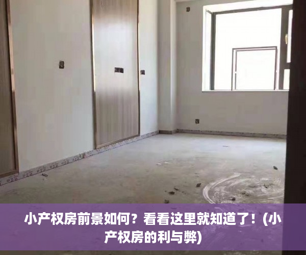 小产权房前景如何？看看这里就知道了！(小产权房的利与弊)