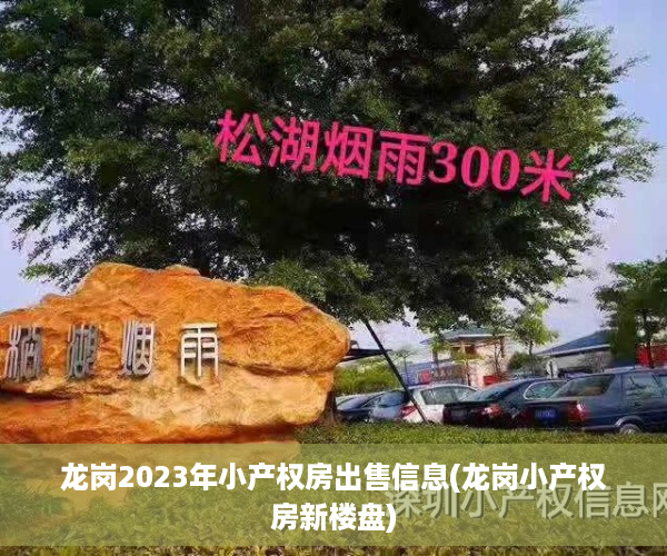 龙岗2023年小产权房出售信息(龙岗小产权房新楼盘)