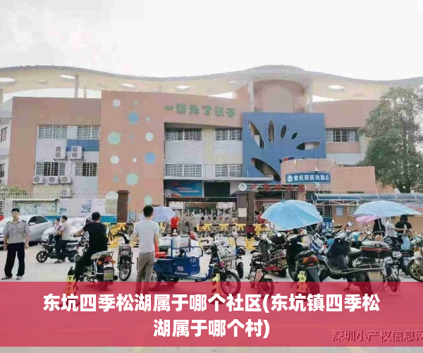 东坑四季松湖属于哪个社区(东坑镇四季松湖属于哪个村)