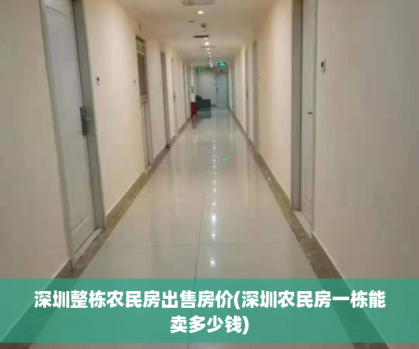 深圳整栋农民房出售房价(深圳农民房一栋能卖多少钱)