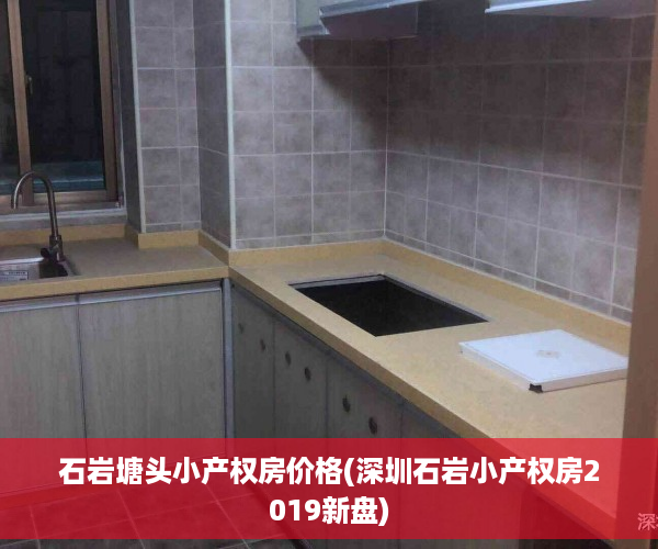 石岩塘头小产权房价格(深圳石岩小产权房2019新盘)