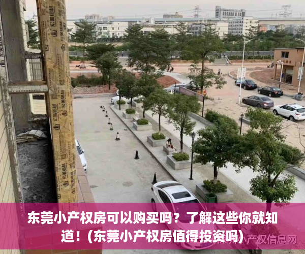 东莞小产权房可以购买吗？了解这些你就知道！(东莞小产权房值得投资吗)