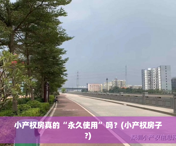 小产权房真的“永久使用”吗？(小产权房子?)