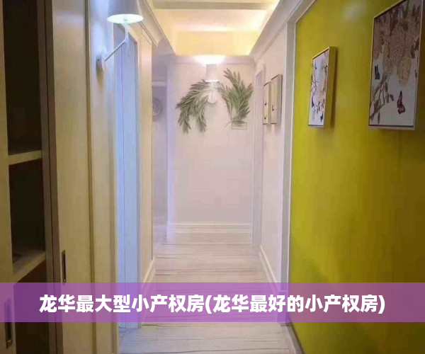 龙华最大型小产权房(龙华最好的小产权房)