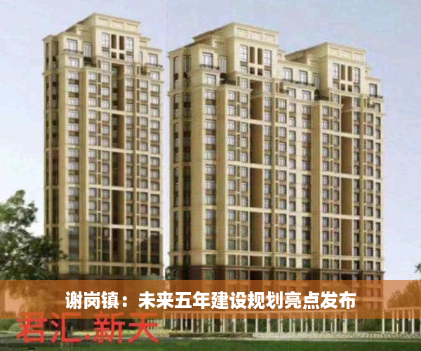 谢岗镇：未来五年建设规划亮点发布