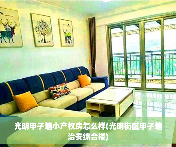 光明甲子塘小产权房怎么样(光明街区甲子塘治安综合楼)