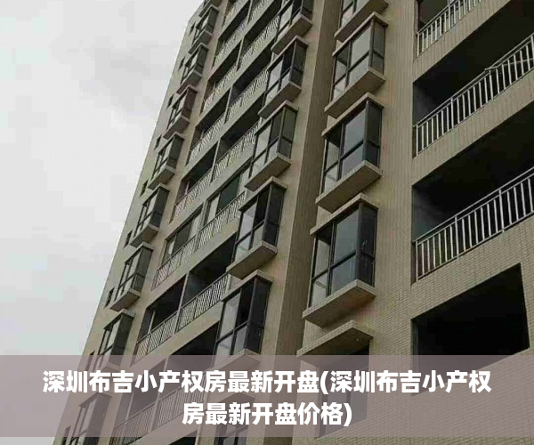 深圳布吉小产权房最新开盘(深圳布吉小产权房最新开盘价格)