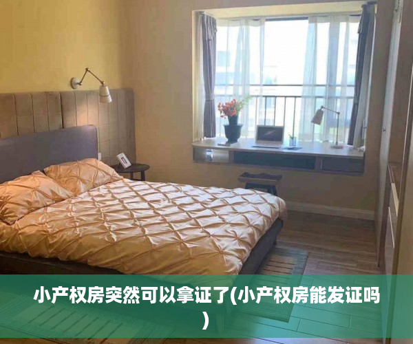 小产权房突然可以拿证了(小产权房能发证吗)
