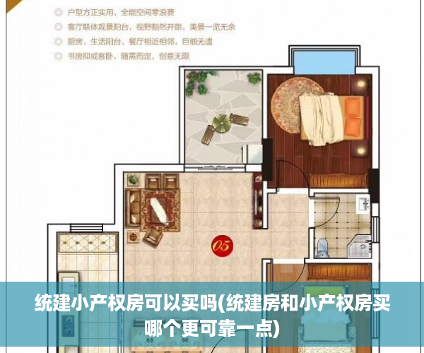 统建小产权房可以买吗(统建房和小产权房买哪个更可靠一点)