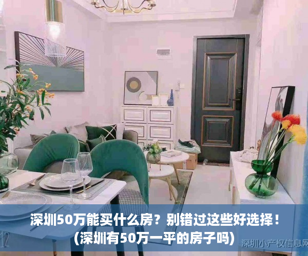 深圳50万能买什么房？别错过这些好选择！(深圳有50万一平的房子吗)