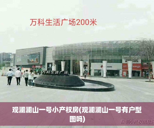 观澜澜山一号小产权房(观澜澜山一号有户型图吗)