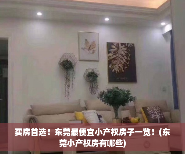 买房首选！东莞最便宜小产权房子一览！(东莞小产权房有哪些)