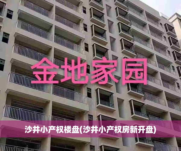 沙井小产权楼盘(沙井小产权房新开盘)