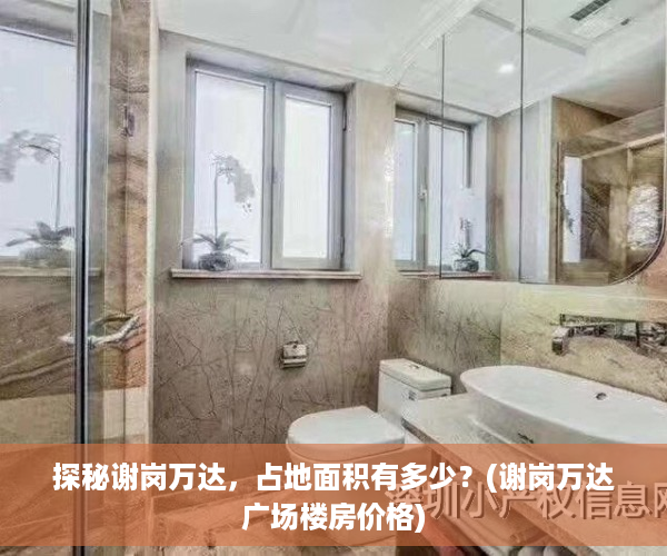 探秘谢岗万达，占地面积有多少？(谢岗万达广场楼房价格)