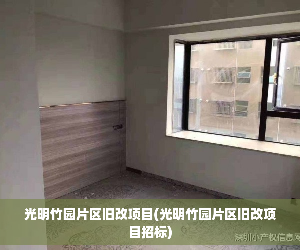 光明竹园片区旧改项目(光明竹园片区旧改项目招标)
