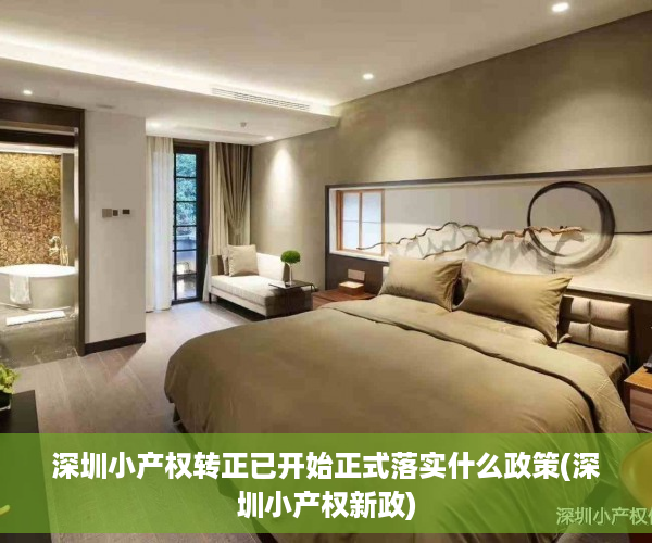 深圳小产权转正已开始正式落实什么政策(深圳小产权新政)