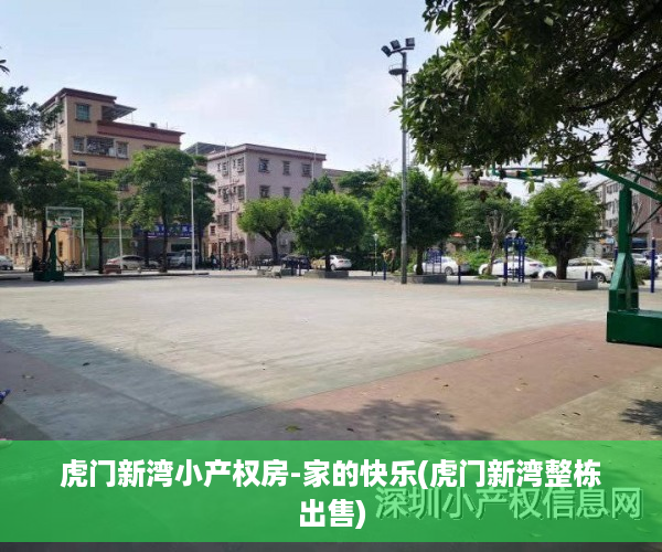 虎门新湾小产权房-家的快乐(虎门新湾整栋出售)