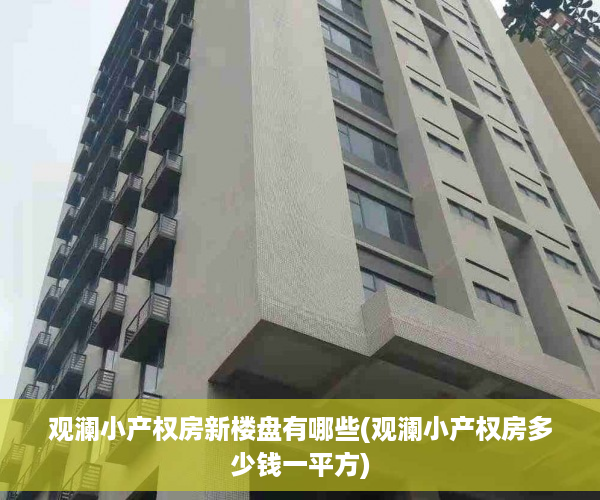观澜小产权房新楼盘有哪些(观澜小产权房多少钱一平方)