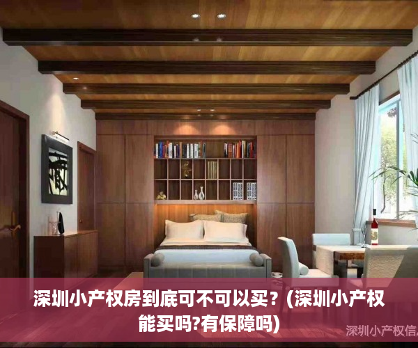 深圳小产权房到底可不可以买？(深圳小产权能买吗?有保障吗)