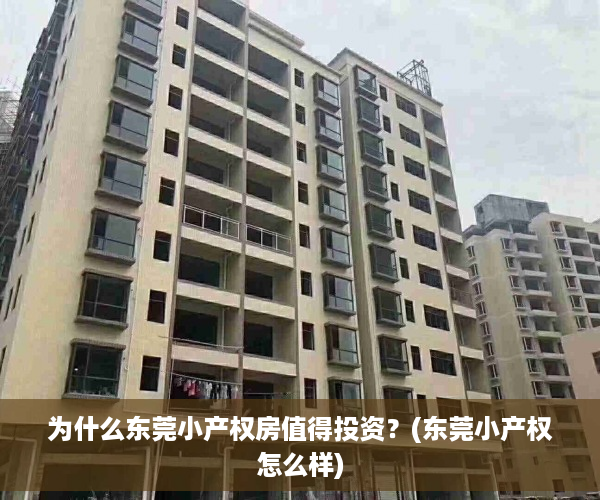 为什么东莞小产权房值得投资？(东莞小产权怎么样)