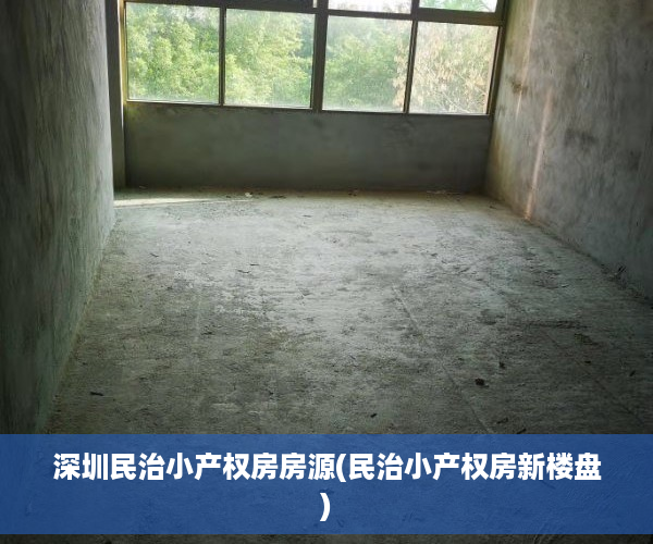 深圳民治小产权房房源(民治小产权房新楼盘)