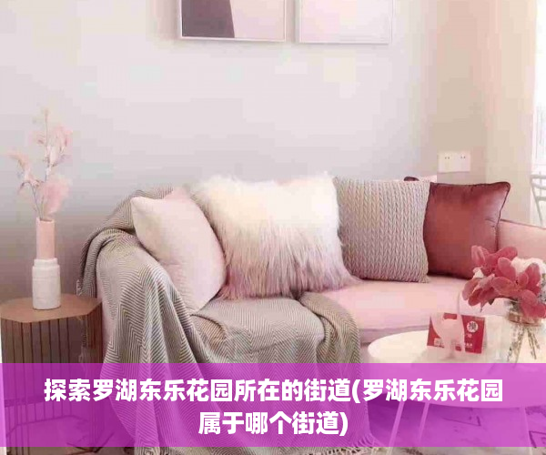 探索罗湖东乐花园所在的街道(罗湖东乐花园属于哪个街道)