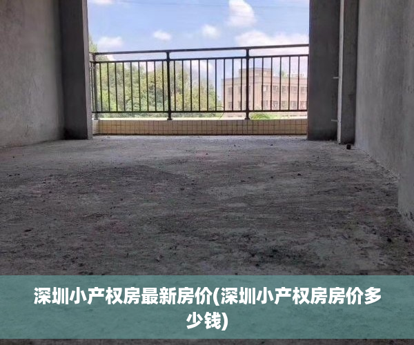 深圳小产权房最新房价(深圳小产权房房价多少钱)