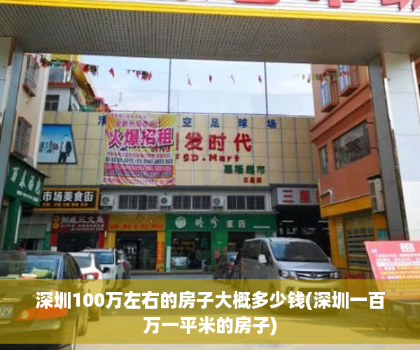 深圳100万左右的房子大概多少钱(深圳一百万一平米的房子)