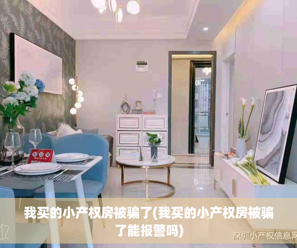我买的小产权房被骗了(我买的小产权房被骗了能报警吗)