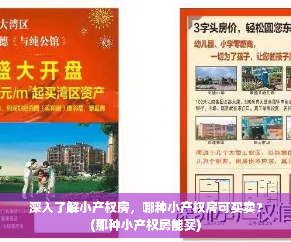 深入了解小产权房，哪种小产权房可买卖？(那种小产权房能买)