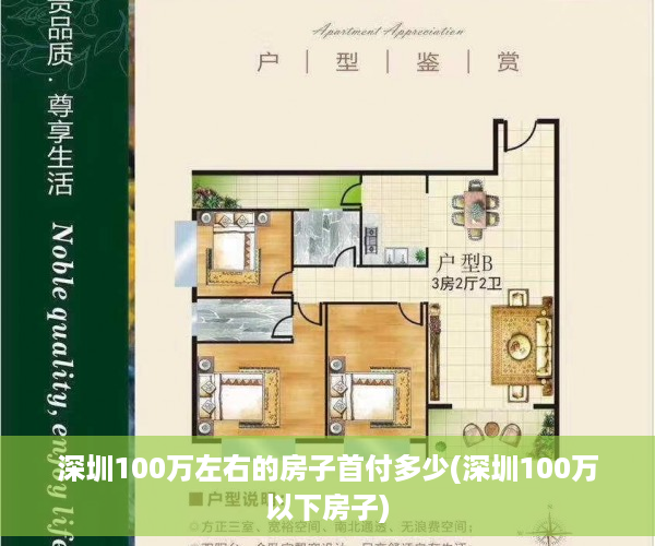 深圳100万左右的房子首付多少(深圳100万以下房子)