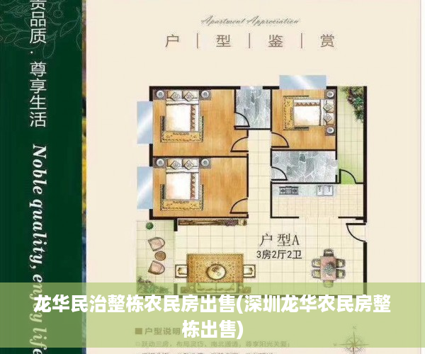 龙华民治整栋农民房出售(深圳龙华农民房整栋出售)