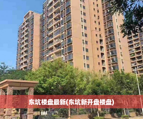 东坑楼盘最新(东坑新开盘楼盘)
