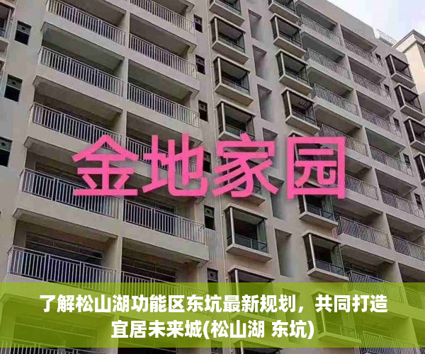 了解松山湖功能区东坑最新规划，共同打造宜居未来城(松山湖 东坑)