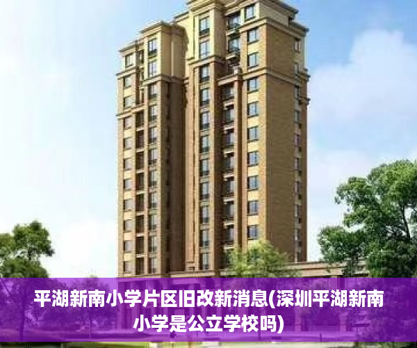 平湖新南小学片区旧改新消息(深圳平湖新南小学是公立学校吗)