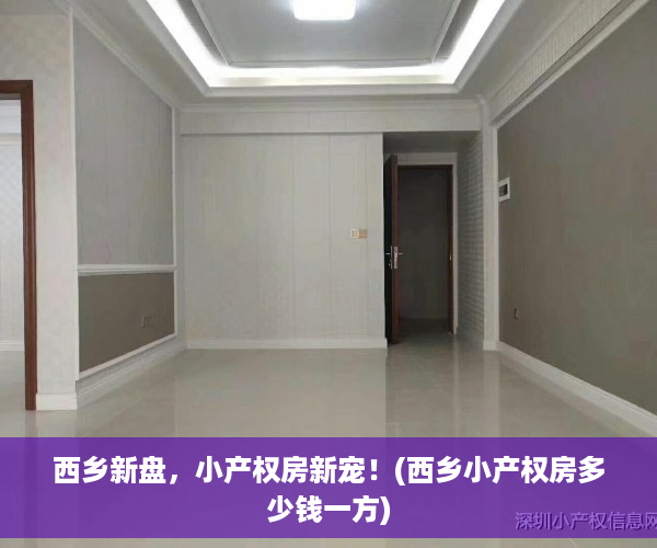 西乡新盘，小产权房新宠！(西乡小产权房多少钱一方)
