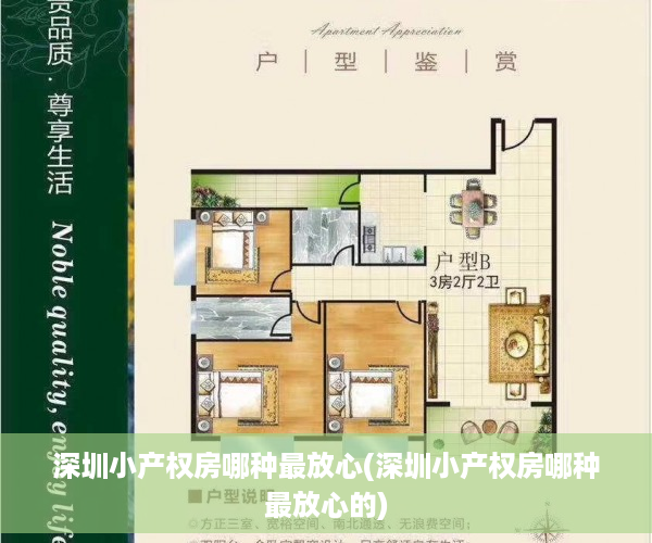 深圳小产权房哪种最放心(深圳小产权房哪种最放心的)