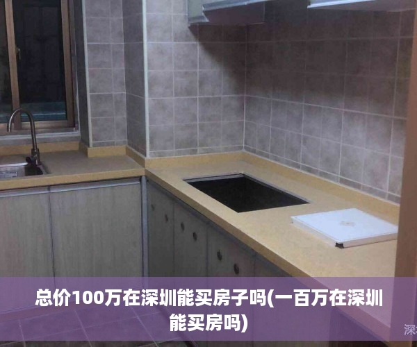 总价100万在深圳能买房子吗(一百万在深圳能买房吗)