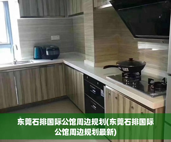 东莞石排国际公馆周边规划(东莞石排国际公馆周边规划最新)